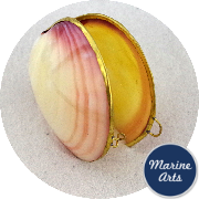 8315 - Polished Shell Purse - Tigrina Clam